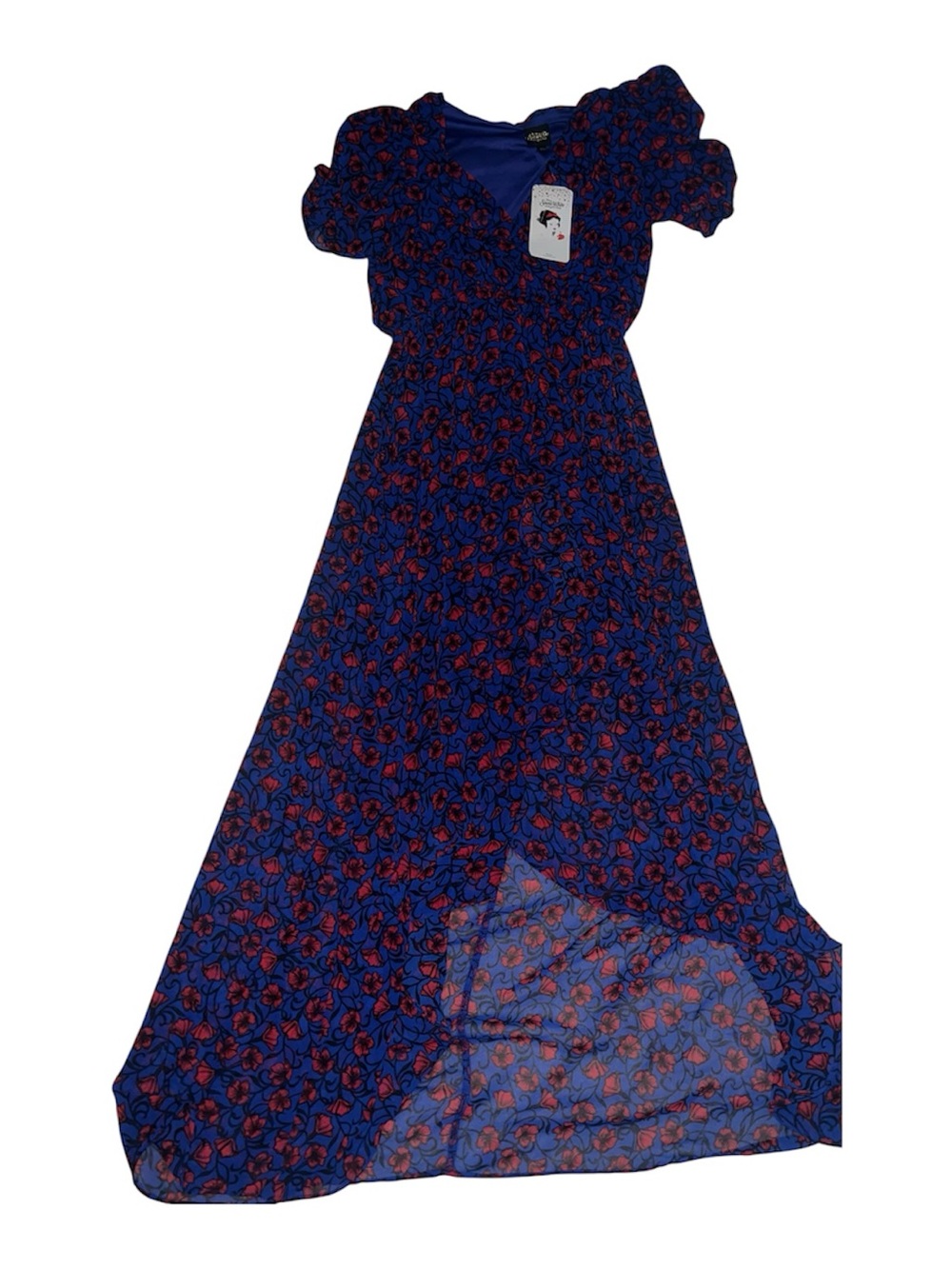 Disney Snow White and the Seven Dwarfs Blue Red Floral Maxi Dress